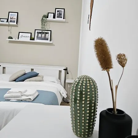 B&B Green
