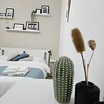 B&B Green