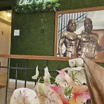 B&B Green