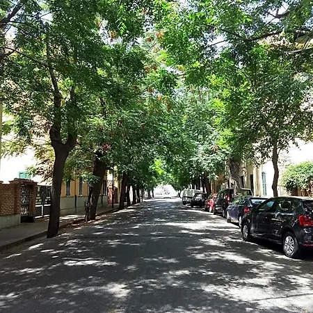 فندق مبيت وإفطار B&B Green 3*